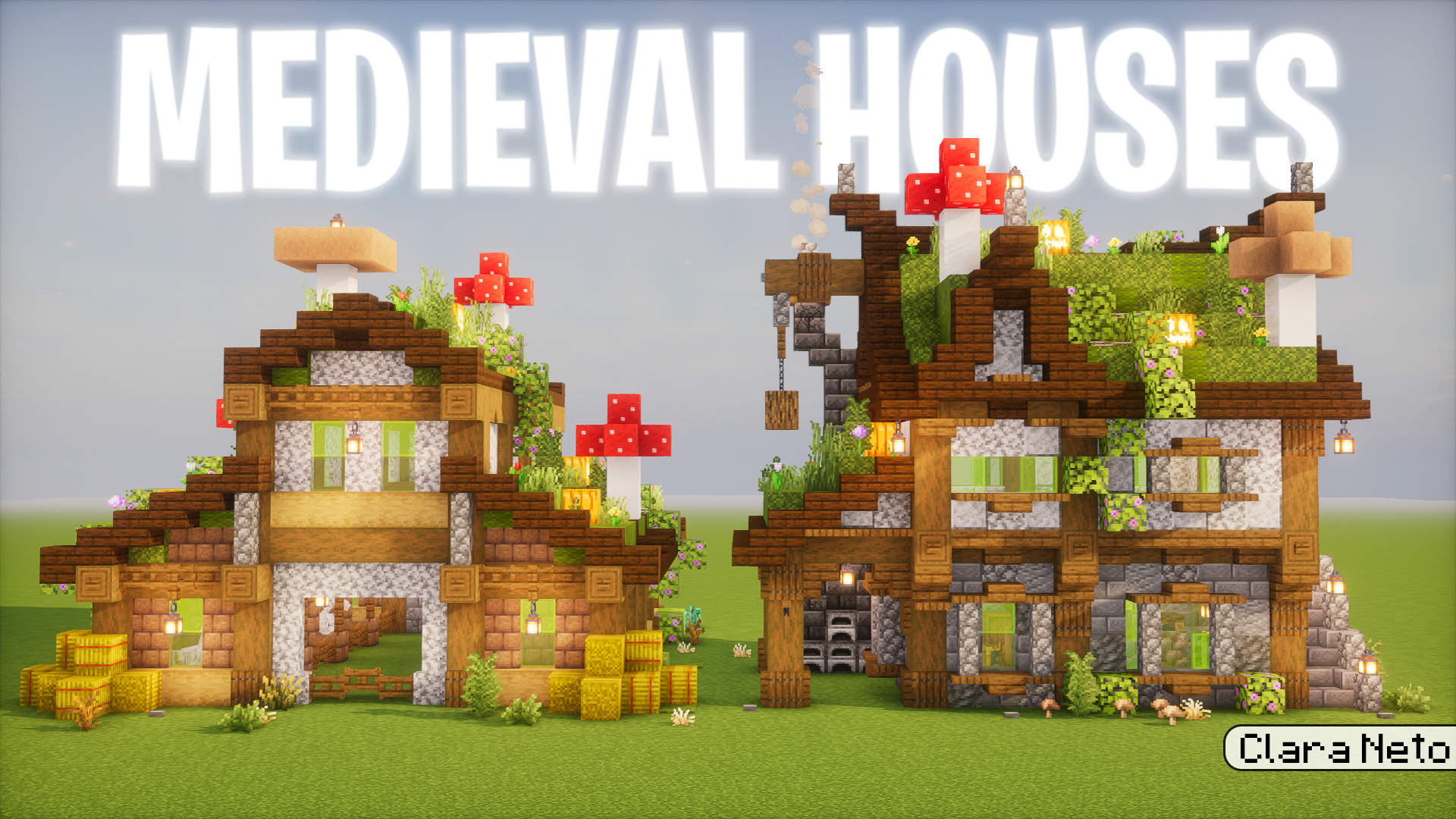 Medieval Houses
