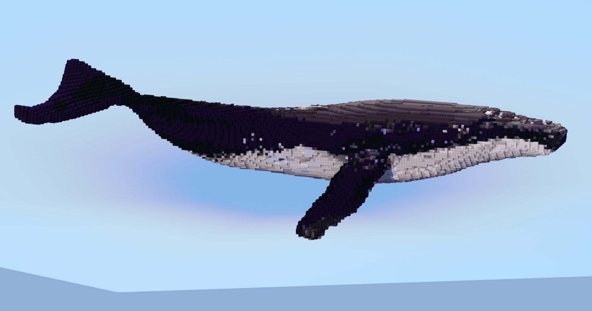 Humpback Whale — Minecraft Build by LeonisBuilds (2)