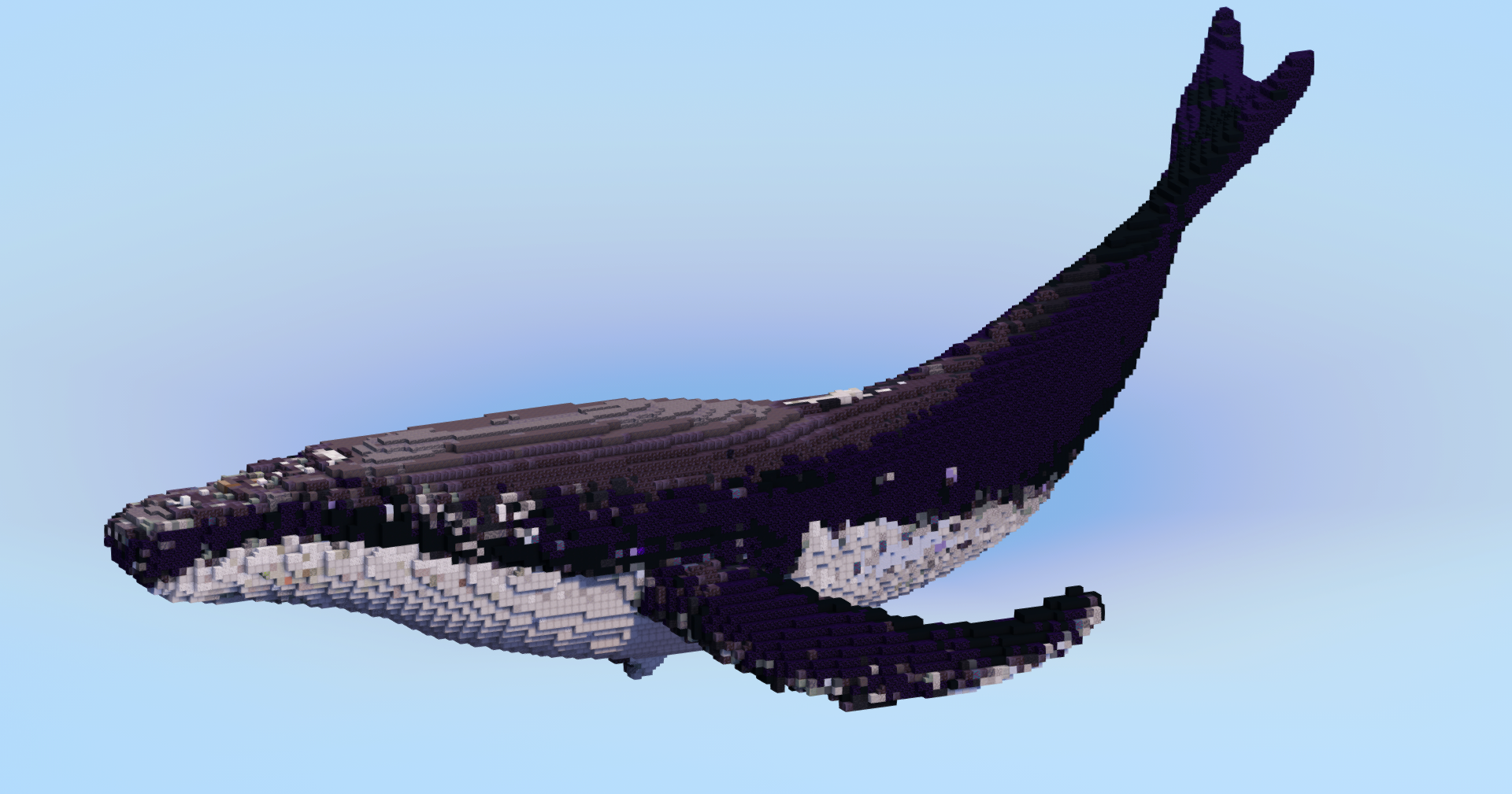 Humpback Whale — Minecraft Build by LeonisBuilds