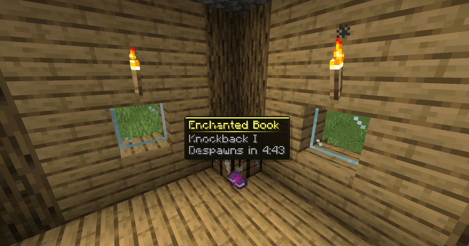 Wan's Hologram Items — Minecraft Mod by LeonisBuilds (3)