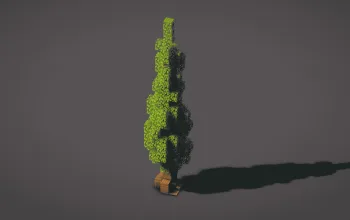 Tall Tree — Minecraft Build by MellowHat