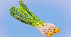 White Onion Vegetable — Minecraft Build by LeonisBuilds (1)