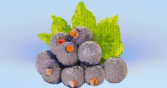 Black Currant — Minecraft Build by LeonisBuilds (1)