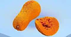 Butternut — Minecraft Build by LeonisBuilds (1)