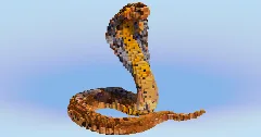 Cobra — Minecraft Build by LeonisBuilds (2)