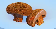 Champignon — Minecraft Build by LeonisBuilds (1)