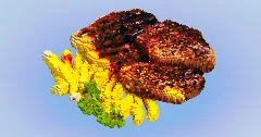 Steak Dish — Minecraft Build by LeonisBuilds (1)