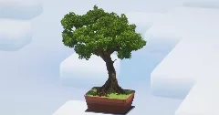 Big Bonsai Tree — Minecraft Build by LeonisBuilds (1)