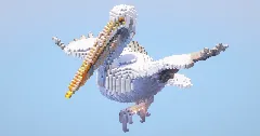 Pelican‎ — Minecraft Build by LeonisBuilds (1)