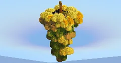 Green Grapes — Minecraft Build by LeonisBuilds (2)