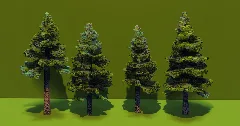 Spruce Trees Pack — Minecraft Build by VerdantBuilds (1)