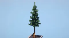 Custom Spruce Trees Pack — Minecraft Build by LeonisBuilds (4)