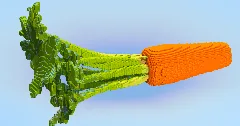 Carrot — Minecraft Build by LeonisBuilds (1)