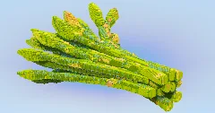 Asparagus — Minecraft Build by LeonisBuilds (1)