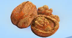 Walnut — Minecraft Build by LeonisBuilds (2)
