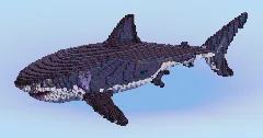 White Shark — Minecraft Build by LeonisBuilds (1)