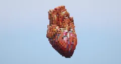 Human heart small — Minecraft Build by LeonisBuilds (2)