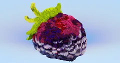 Blackberry — Minecraft Build by LeonisBuilds (1)