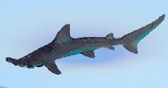 Hammerhead Shark — Minecraft Build by LeonisBuilds (1)