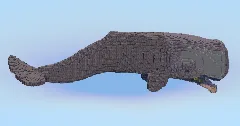 Sperm Whale — Minecraft Build by LeonisBuilds (2)