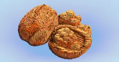 Walnut Fruit — Minecraft Build by LeonisBuilds (1)