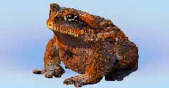 Toad — Minecraft Build by LeonisBuilds (1)