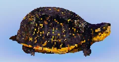 Turtle — Minecraft Build by LeonisBuilds (2)