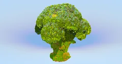 Broccoli — Minecraft Build by LeonisBuilds (1)