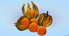 Physalis — Minecraft Build by LeonisBuilds (2)
