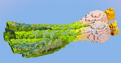 White Onion Vegetable — Minecraft Build by LeonisBuilds (2)