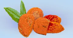 Almonds — Minecraft Build by LeonisBuilds (2)