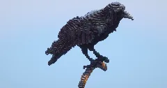 Raven‎ — Minecraft Build by LeonisBuilds (2)