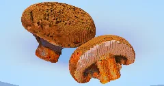 Champignon — Minecraft Build by LeonisBuilds (2)