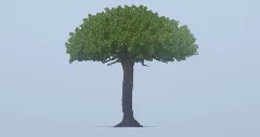 Giant Tree — Minecraft Build by LeonisBuilds (2)