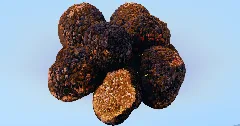Truffle — Minecraft Build by LeonisBuilds (2)