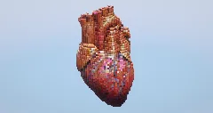 Human heart — Minecraft Build by LeonisBuilds (1)