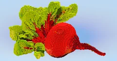 Beetroot — Minecraft Build by LeonisBuilds (1)