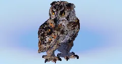 Owl — Minecraft Build by LeonisBuilds (1)