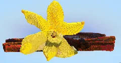 Vanilla — Minecraft Build by LeonisBuilds (2)