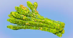 Asparagus Vegetable — Minecraft Build by LeonisBuilds (1)