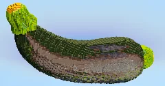 Zucchini — Minecraft Build by LeonisBuilds (2)
