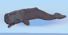 Sperm Whale — Minecraft Build by LeonisBuilds (1)