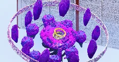 Fantasy Floating Islands — Minecraft Build by TheBibleOfBuilding (3)