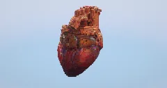 Human heart — Minecraft Build by LeonisBuilds (2)