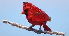 Red Bird‎ — Minecraft Build by LeonisBuilds (1)