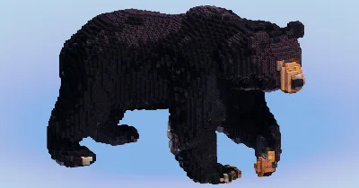 Black Bear — Minecraft Build by LeonisBuilds