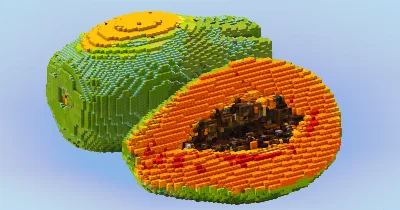 Papaya Fruit — Minecraft Build by LeonisBuilds