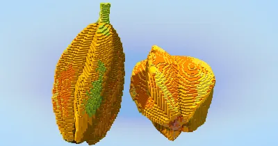 Starfruit — Minecraft Build by LeonisBuilds