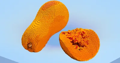 Butternut — Minecraft Build by LeonisBuilds