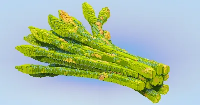 Asparagus — Minecraft Build by LeonisBuilds
